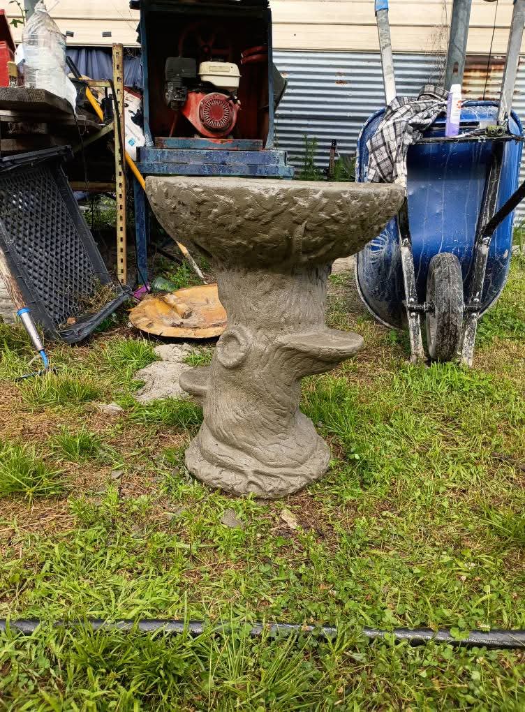 Tree trunk birdbath