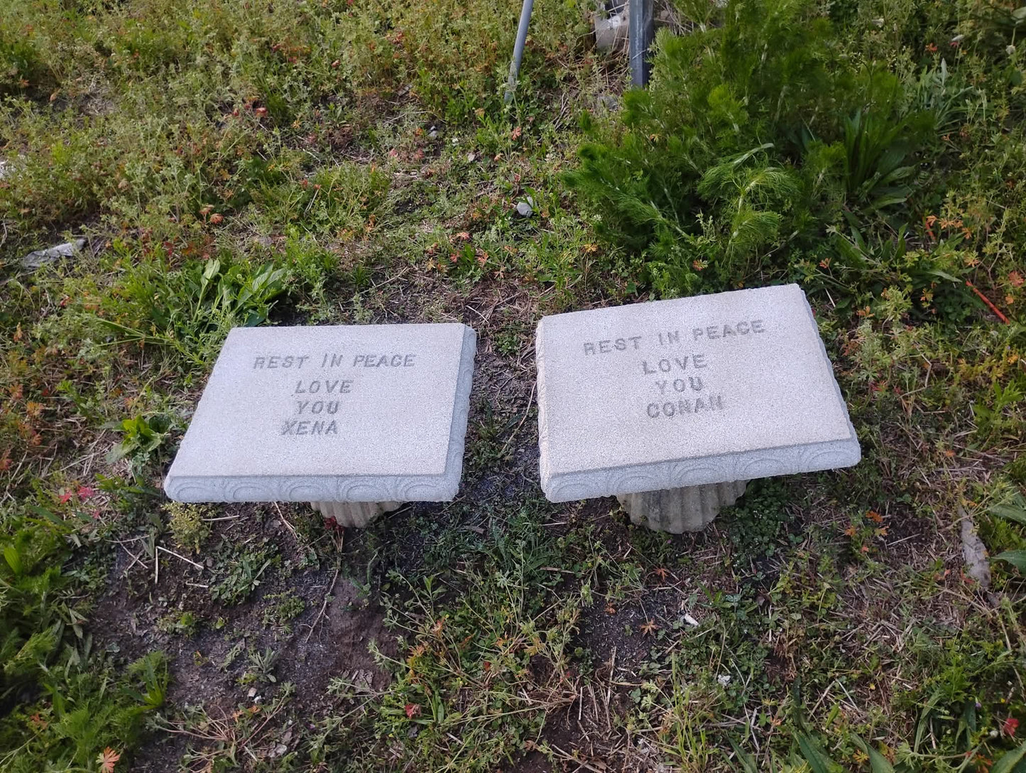 Pet plaques/tombstones