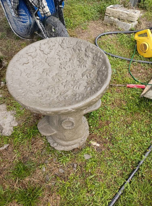 Tree trunk birdbath