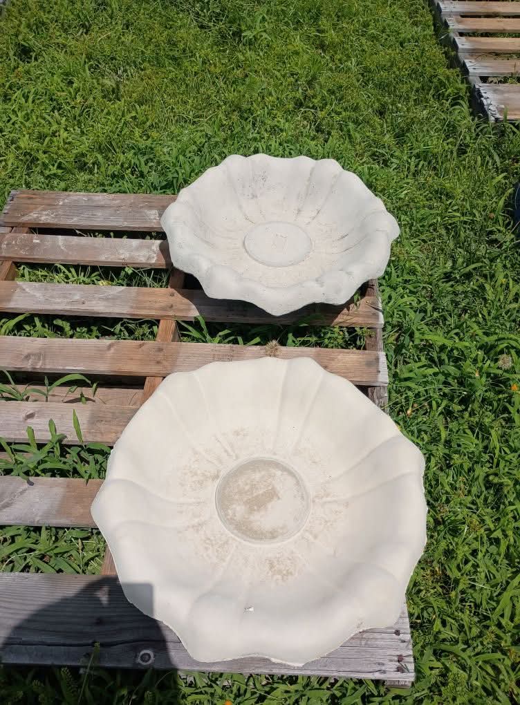 Tulip birdbath bowl