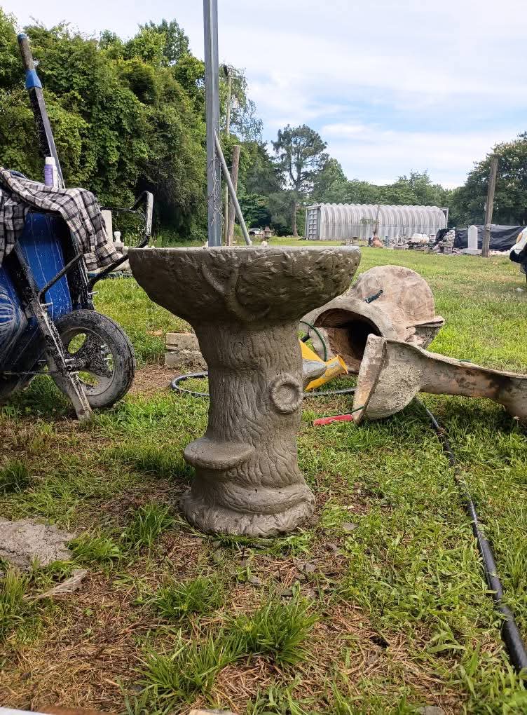 Tree trunk birdbath
